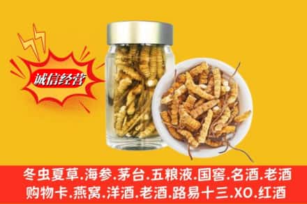 宜昌秭归县回收散虫草