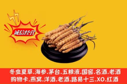 宜昌秭归县名酒回收冬虫夏草.jpg